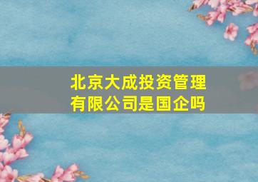 北京大成投资管理有限公司是国企吗