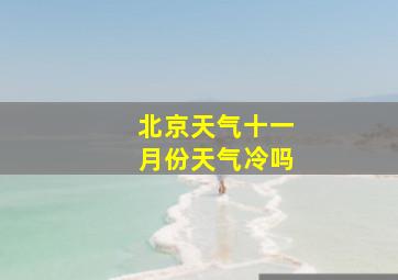 北京天气十一月份天气冷吗