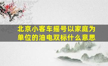 北京小客车摇号以家庭为单位的油电双标什么意思