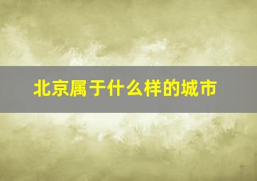 北京属于什么样的城市