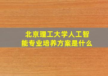 北京理工大学人工智能专业培养方案是什么