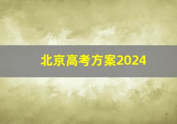 北京高考方案2024