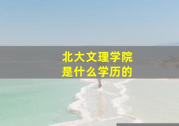 北大文理学院是什么学历的