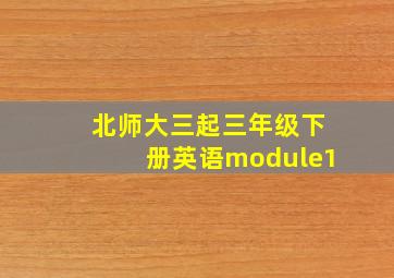 北师大三起三年级下册英语module1