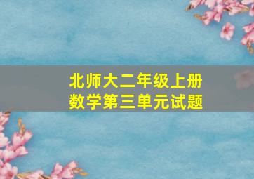 北师大二年级上册数学第三单元试题