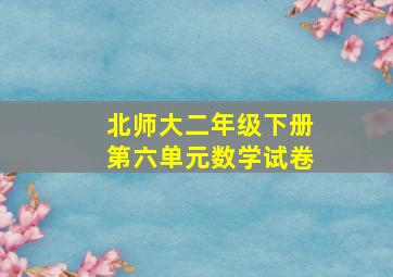 北师大二年级下册第六单元数学试卷