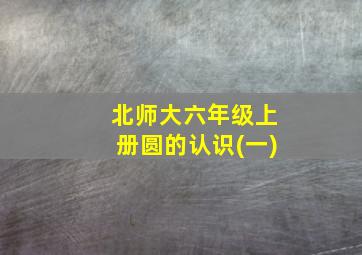 北师大六年级上册圆的认识(一)