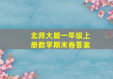 北师大版一年级上册数学期末卷答案