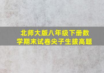 北师大版八年级下册数学期末试卷尖子生拔高题