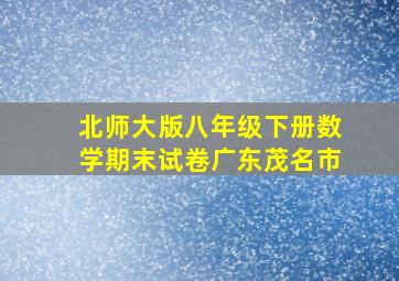 北师大版八年级下册数学期末试卷广东茂名市