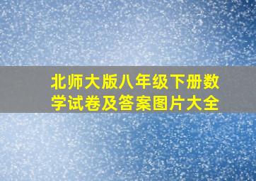 北师大版八年级下册数学试卷及答案图片大全