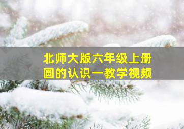 北师大版六年级上册圆的认识一教学视频