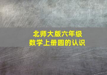 北师大版六年级数学上册圆的认识