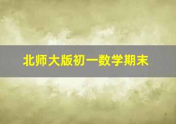 北师大版初一数学期末