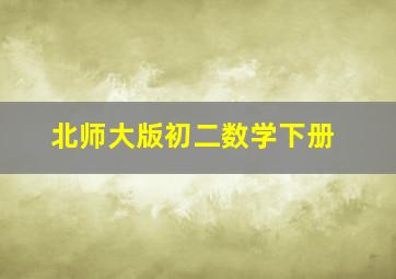 北师大版初二数学下册