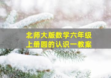 北师大版数学六年级上册圆的认识一教案