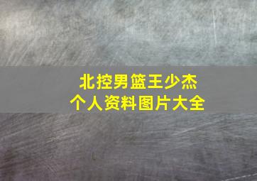 北控男篮王少杰个人资料图片大全