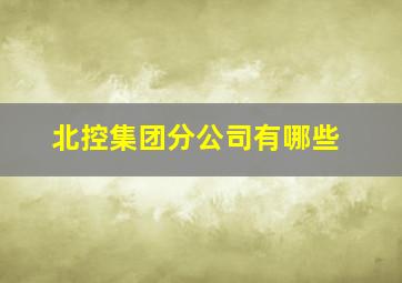 北控集团分公司有哪些