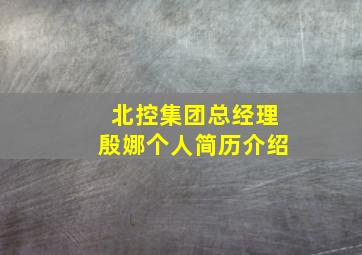 北控集团总经理殷娜个人简历介绍