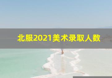 北服2021美术录取人数