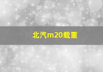 北汽m20载重