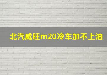 北汽威旺m20冷车加不上油