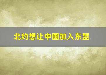 北约想让中国加入东盟