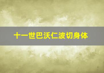 十一世巴沃仁波切身体