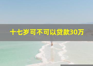 十七岁可不可以贷款30万