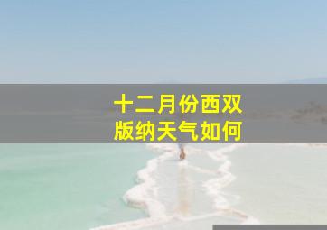 十二月份西双版纳天气如何