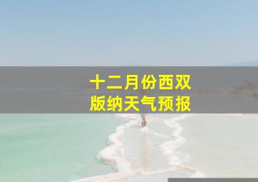 十二月份西双版纳天气预报