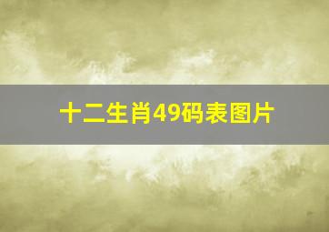 十二生肖49码表图片