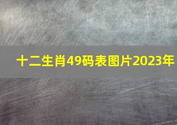 十二生肖49码表图片2023年