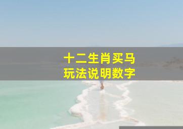 十二生肖买马玩法说明数字