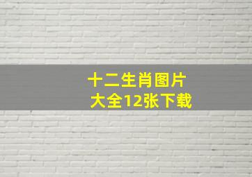 十二生肖图片大全12张下载