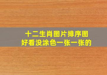 十二生肖图片排序图好看没涂色一张一张的