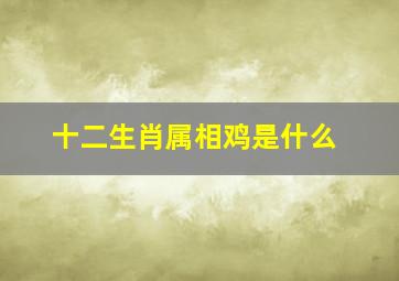 十二生肖属相鸡是什么