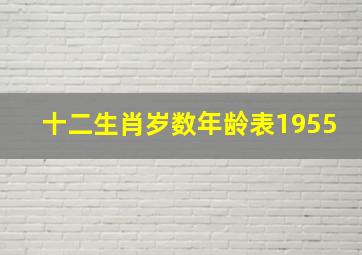 十二生肖岁数年龄表1955