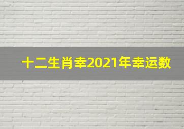 十二生肖幸2021年幸运数