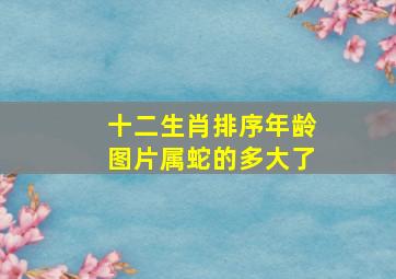 十二生肖排序年龄图片属蛇的多大了