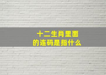 十二生肖里面的连码是指什么