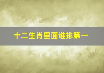 十二生肖里面谁排第一