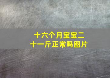 十六个月宝宝二十一斤正常吗图片