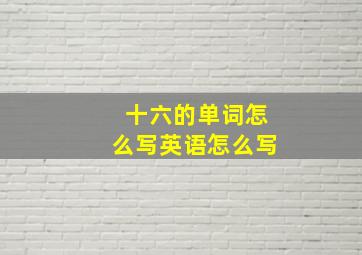 十六的单词怎么写英语怎么写