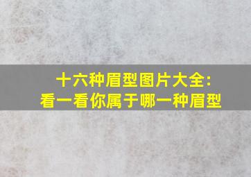 十六种眉型图片大全:看一看你属于哪一种眉型