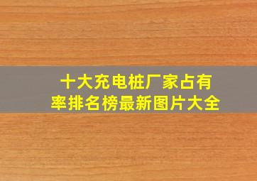 十大充电桩厂家占有率排名榜最新图片大全