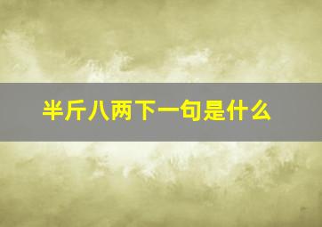 半斤八两下一句是什么