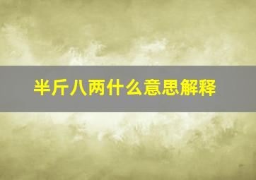 半斤八两什么意思解释