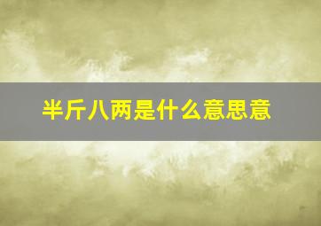 半斤八两是什么意思意