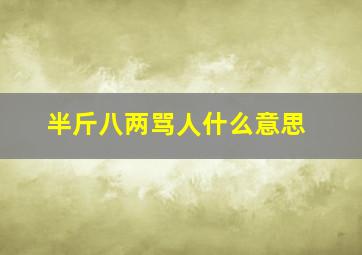 半斤八两骂人什么意思